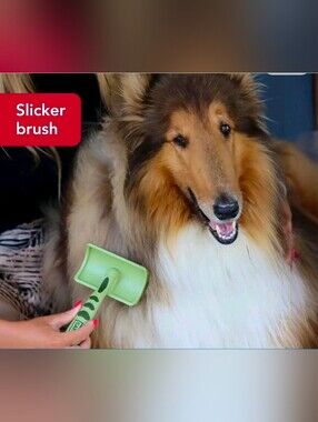 Safari Long Hair Slicker Brush, Large Breed Dog Grooming Brush Undercoat, NIB